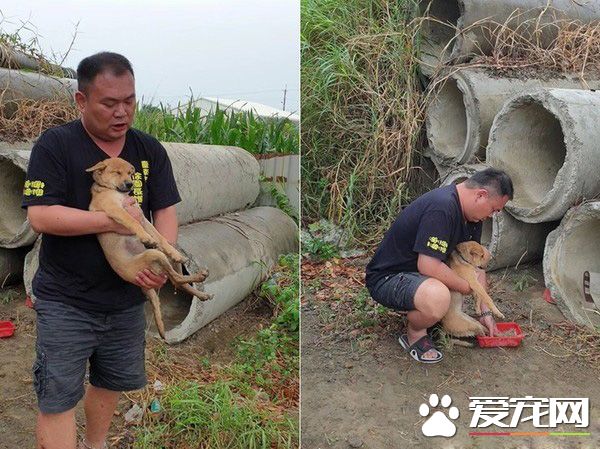 癱瘓小浪汪超親人 第一次被抱安心到睡著