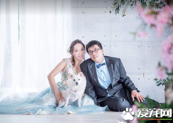 愛就是不離不棄 流浪狗跟新娘一起嫁出去了