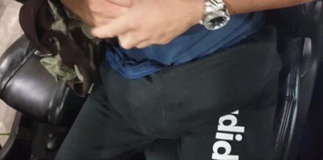 新加坡ICA檢查到走私者 男子試圖將4小貓走私入新加坡