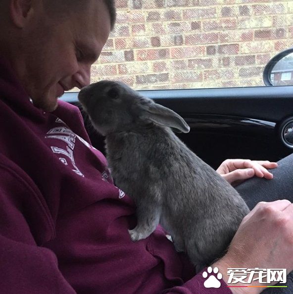 對動物無感外國男子 被溫柔兔子暖化為粉絲