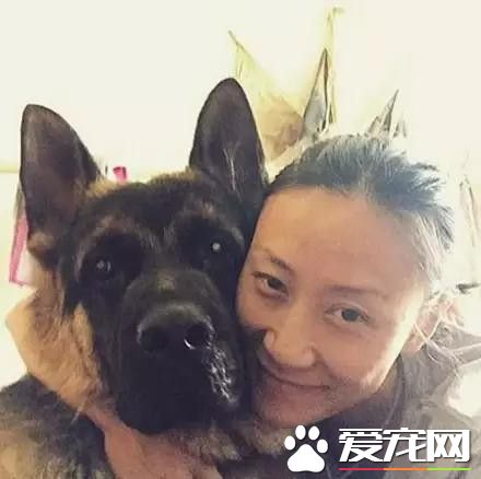 等待屠宰的大狼狗 被她從死亡邊緣給救了回來