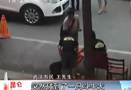 寵物斗牛犬當街緊咬小猴不放 主人因此大打出手