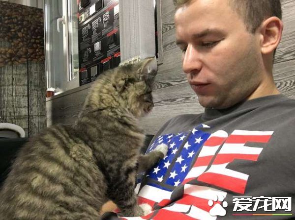 浪浪磁場的俄國男子 上班連撿命中注定的貓狗