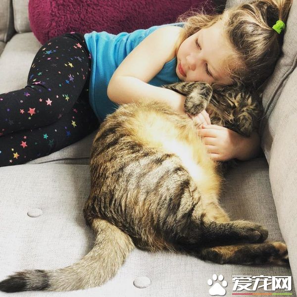 在媽媽的指導之下 小女孩超有慧根成為稱職貓奴