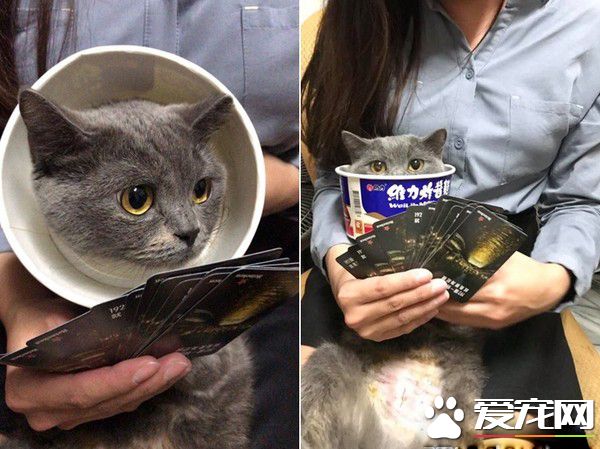 省錢妙招看這邊! 便宜又實用的羞羞圈