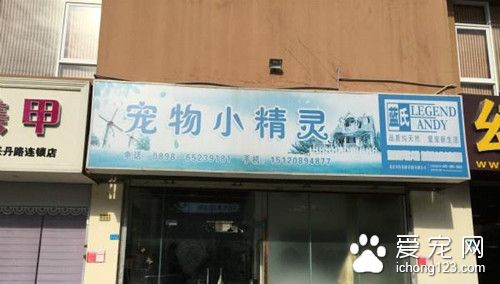 帶寵物去寵物店洗澡 寵物犬意外死在烤箱內