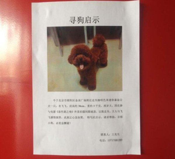 尋狗啟示與簡短