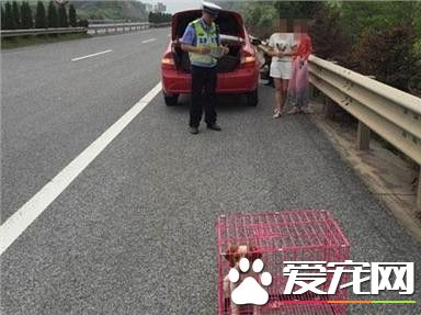 高速公路上爆胎 駕駛員竟把狗裝在狗籠里當警示牌