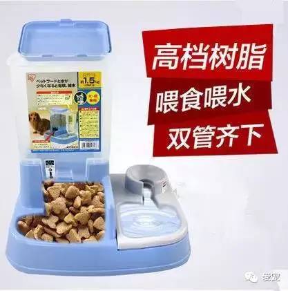 【福利來了！】愛寵首次發粉絲福利，不可錯過喲~ 