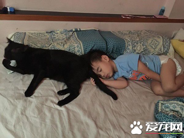 后腦勺好聞嗎? 萌娃抱黑貓后腦勺狂吸