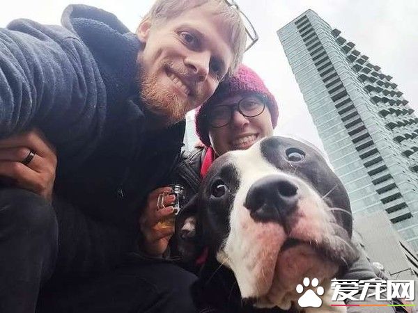 它的眼神太悲傷了！忠犬因主人懷孕慘遭遺棄