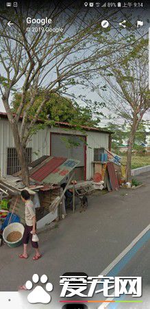 阿嬤騎機車迷途 靠Google街景中愛犬身影才回家