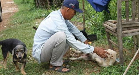小狗草地刨出冰毒近800顆疑似誤食