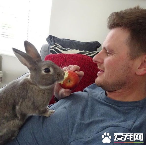 對動物無感外國男子 被溫柔兔子暖化為粉絲
