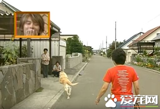 相隔11年在回家 導盲犬不曾忘記照顧它的家人