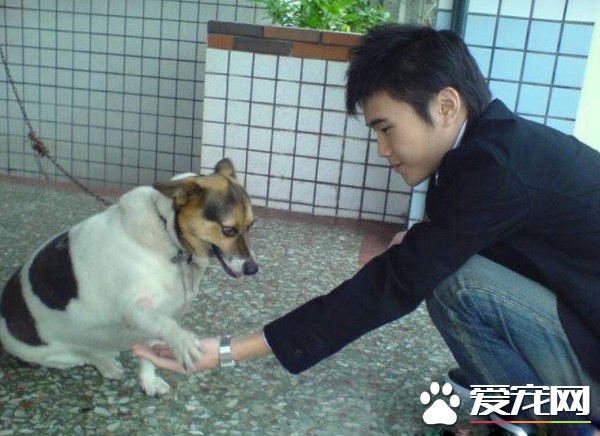 時間與回憶都靜止了 谷歌地圖帶你回憶過去