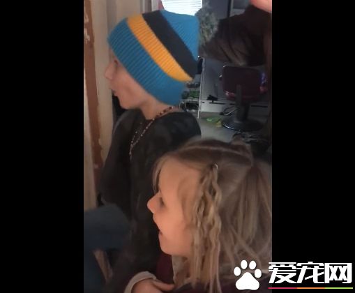 最棒的新年禮物！失而復得被通知已死亡的愛貓