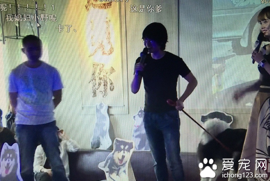 韓寒為寵物狗雪橇犬“小馬達”舉辦粉絲會