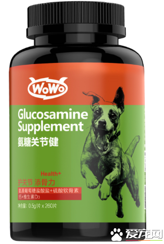 大型犬狗狗關節磨損更嚴重？WOWO氨糖關節健分析給你看