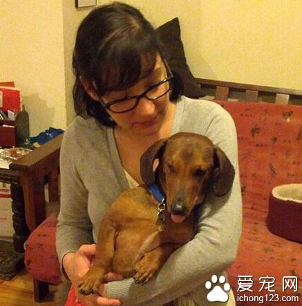 臘腸犬深情擁抱救命恩人的照片感動了人類