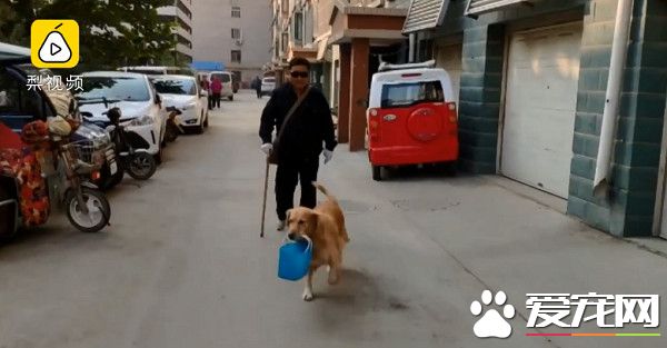 超級暖男阿金 主動幫行動不便的把拔提籃子買菜