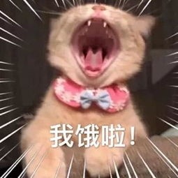 QQ圖片20190416141104.jpg