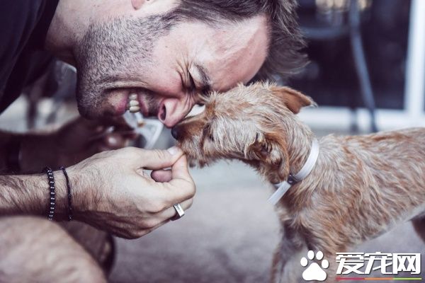 三個好朋友計劃去看球賽 結果領養了一只狗狗回家