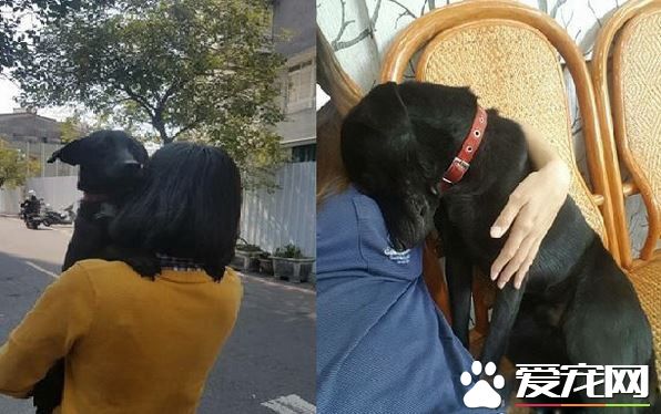 愛需要采取行動 希望大家能以領養代替購買