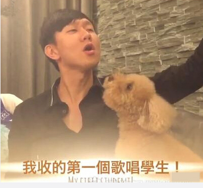 林俊杰大秀歌喉曬 教愛犬唱歌引粉絲熱議