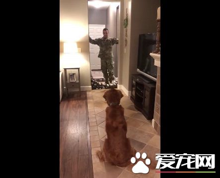狗狗以為又玩無聊游戲了 竟然出現意外的驚喜