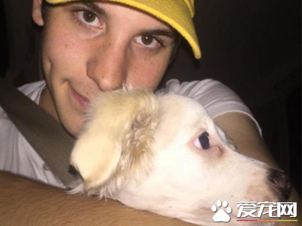 鑰匙忘在餐廳 男子為愛犬竟破門而入