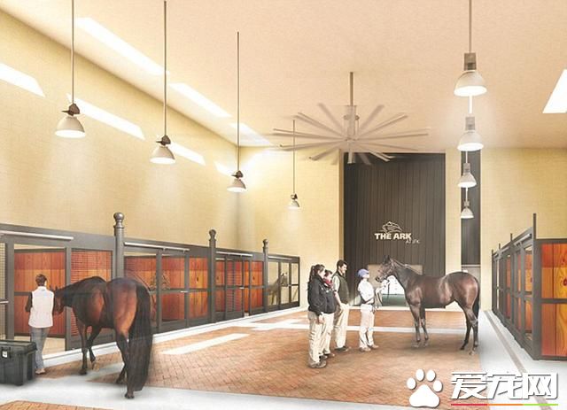 美機場將開動物航站樓 豪華寵物套房可按摩水療(組圖)- 新聞