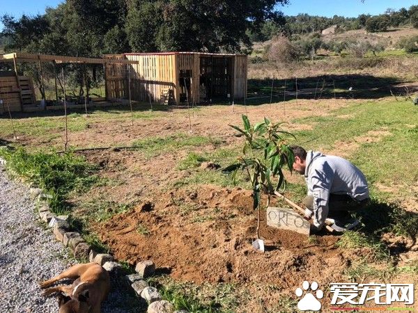 星際異攻隊火箭浣熊發病去世 粉絲紛紛留言悼念