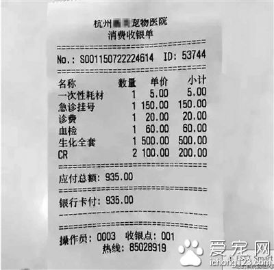 <a href=/zhonglei/mao/ target=_blank class=infotextkey>貓</a>做絕育手術2000元 寵物看病貴主人無所謂