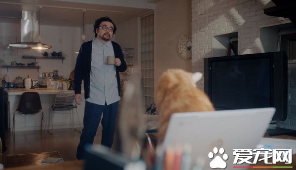 日本Google貓奴系列廣告 7種只有內行人才懂的瞬間