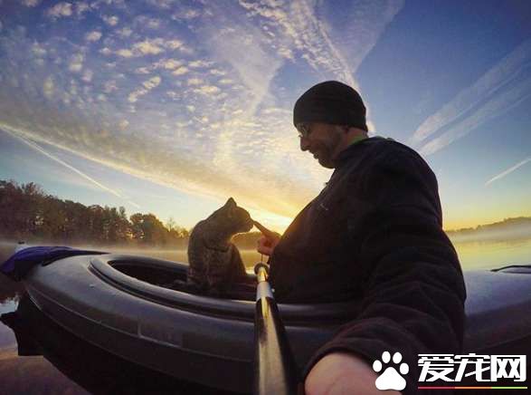 超另類湖邊貓咪 愛和主人一同游湖超級愜意！