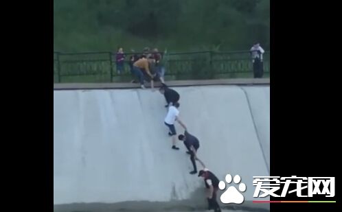 暖心!狗狗跌落引水道 5壯漢手牽手救起它