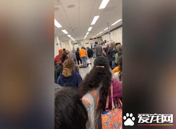 月月心情不美麗倒安檢門前 害后方旅客塞大長龍