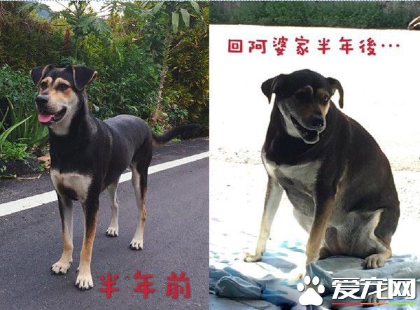 米克斯在阿婆家住半年 從少女變成了大嬸