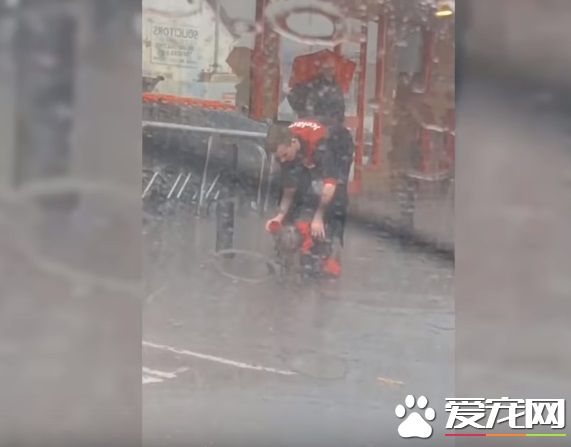 超有愛！狗狗大雨中等主人 好心男子脫外套為狗狗保暖