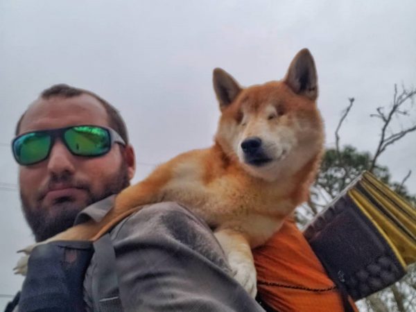 愛犬失去視力變膽小 為重拾自信男子帶它再次踏上旅程