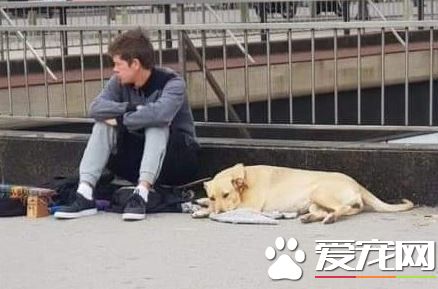 忠心汪護主對警察狂吠 卻慘遭開槍射殺
