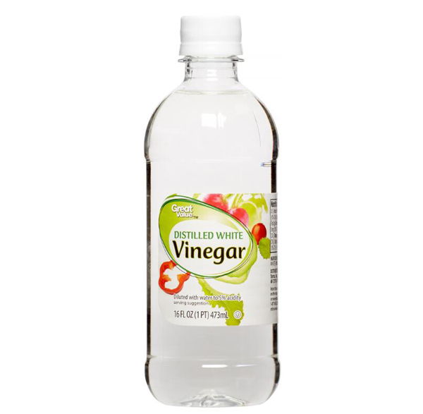 你的狗狗身上有跳蚤？ 試試使用醋來擊退狗狗的跳蚤