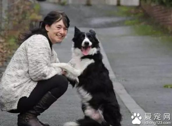 領養狗狗突然失常 而因此主人被救了性命