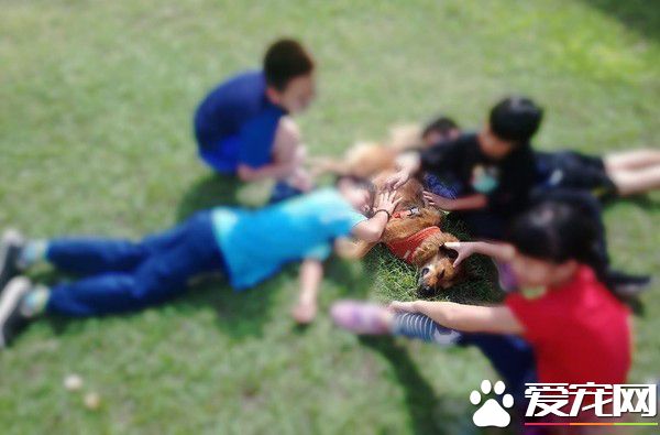 男孩每節下課都會去找校犬 上演偶像劇畫面