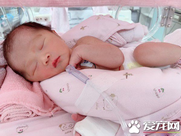 我們的緣分還沒結束 愛犬離世后夢小嬰兒對我笑