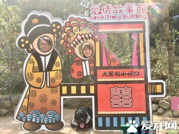 汪陪粉絲等公車 馬麻怎么叫就是酷酷的不肯回頭