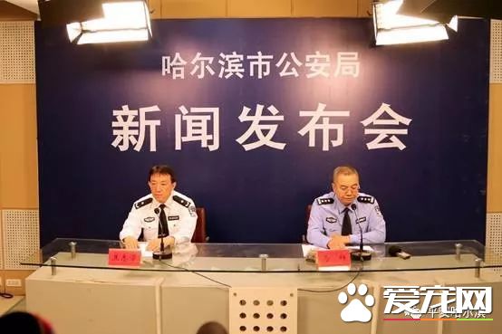 諸多“猛犬”禁養 <a href=/xinwen/haerbin/ target=_blank class=infotextkey>哈爾濱</a>每戶限養一只<a href=/zhonglei/gou/ target=_blank class=infotextkey>狗</a>狗