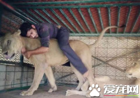 看看中東土豪這些人的寵物，瞬間感覺我們的簡直low爆了