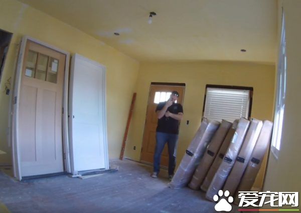 超可愛反差萌 魁梧大漢化身笨蛋貓奴